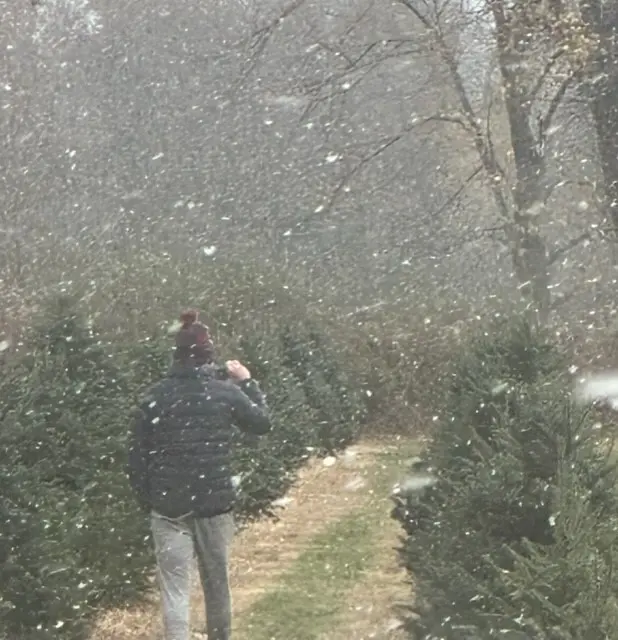 Child selecting a Christmas tree during snowfall
