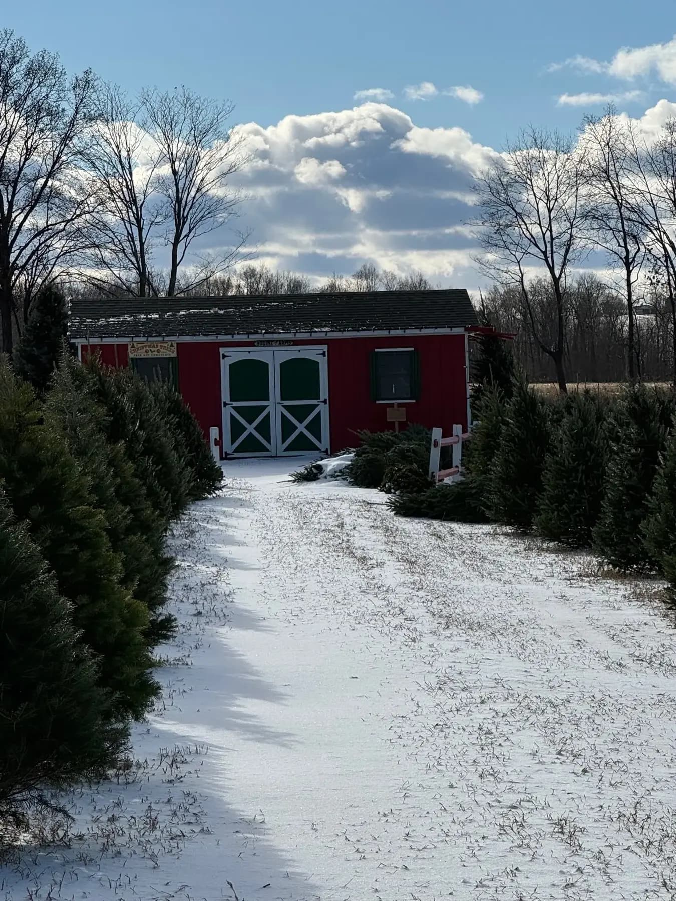 Red barn building surrounded by Christmas trees with snow